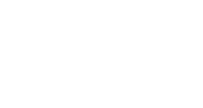 VEO Agency